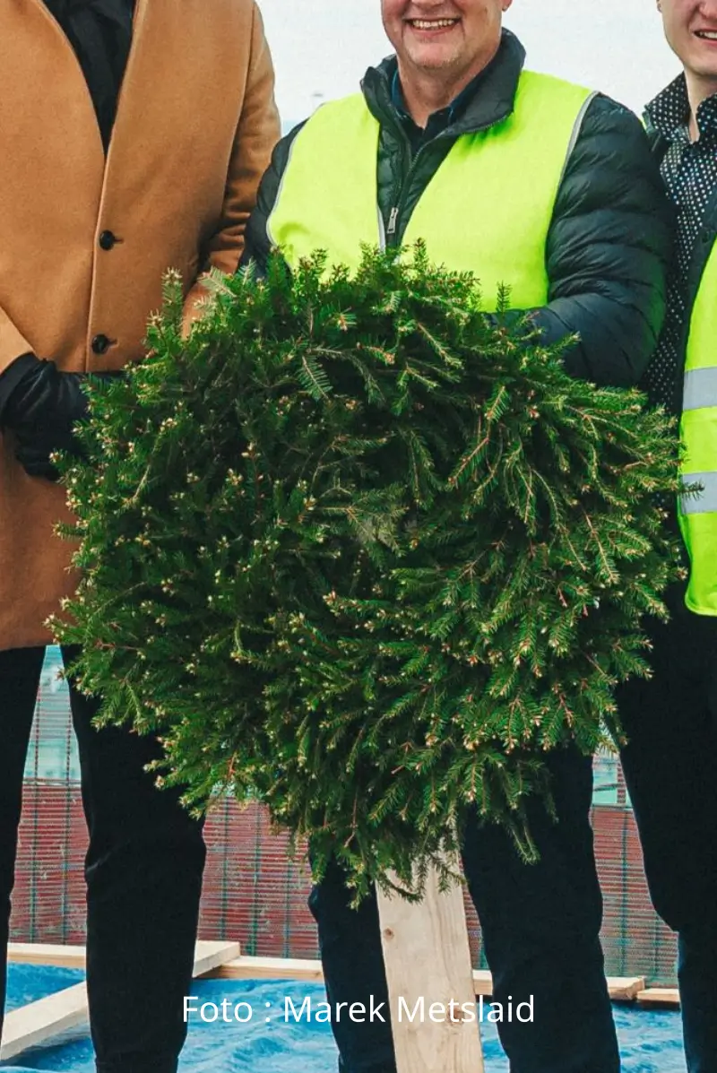 Sarikapärg Tallinnas ja Harjumaal